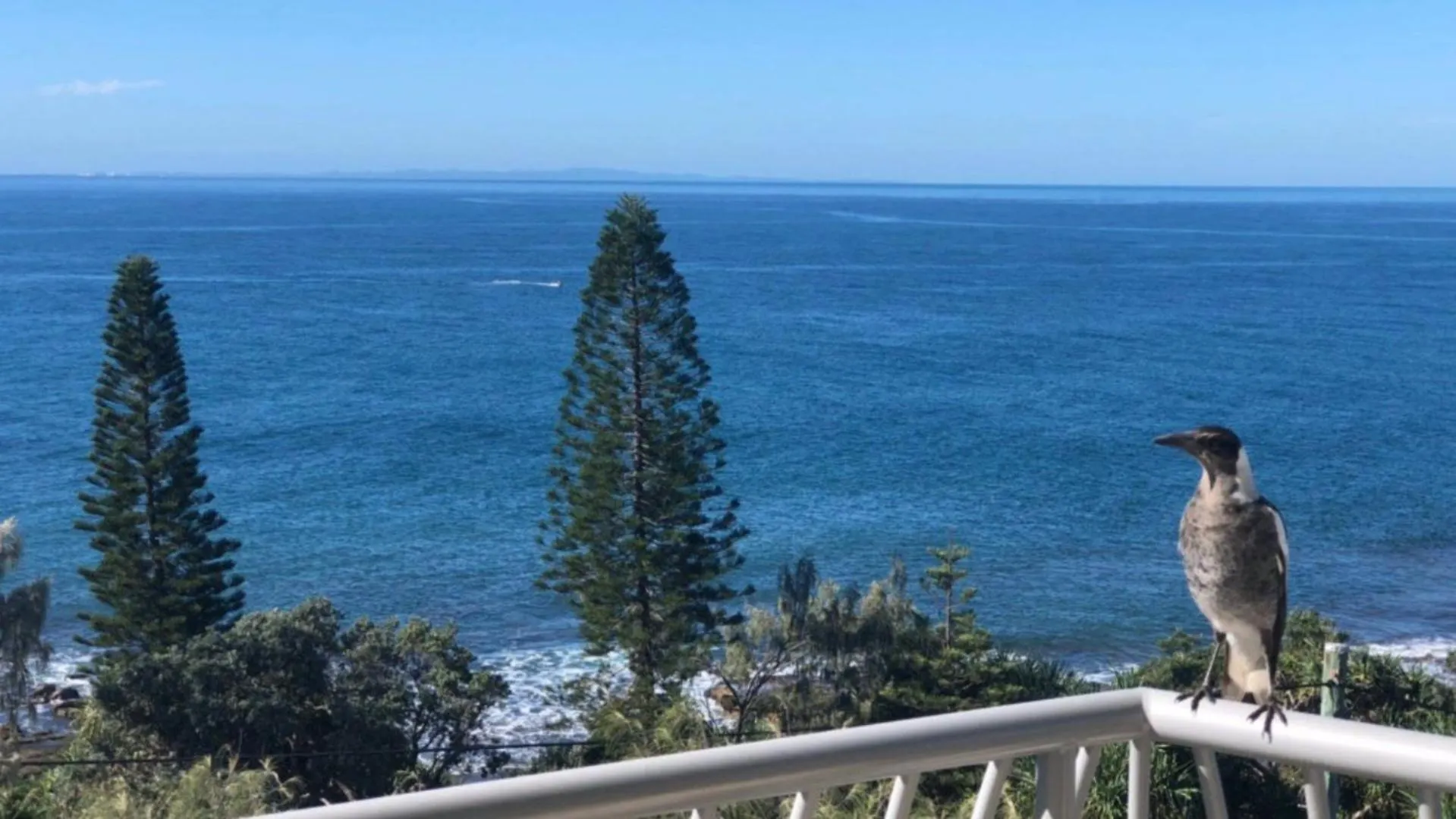 Sea Eagles Unit 9 Apartment Caloundra Australia